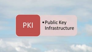 Definition of PKI - Public Key Infrastructure (Source S.Brooks (c) 2015)