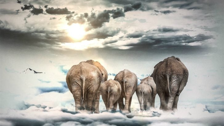 Six elephants move to cloud Image Source: Pixabay/Mysticsartdesign