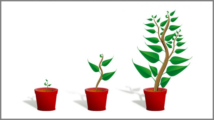Growth (Image Credit Pixabay/OpenClipart-Vectors