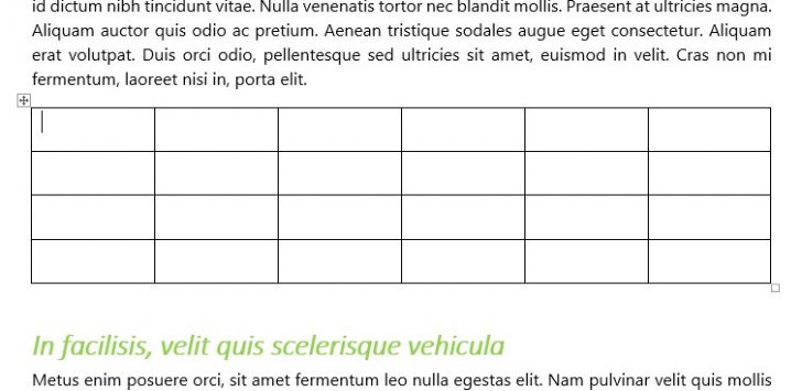 document example with table