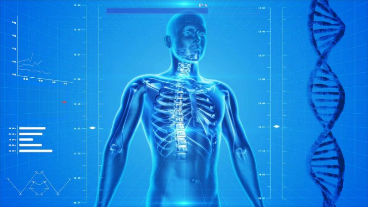 Healthcare Human Skeleton Image credit Pixabay/PublicdomainPictures