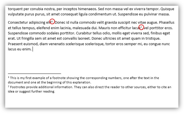 What Is A Footnote And Endnote In A Citation Bugopm